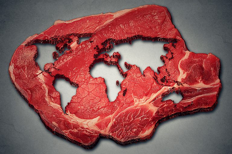 How Eating Less Beef Can Help the Environment