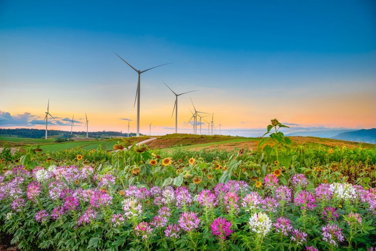 How Energy Needs Drive World Economies