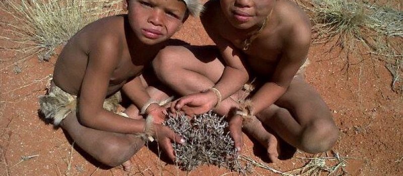 KhoiSan Children on the earth