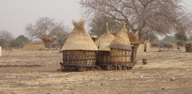 Dogon Bush, Burkina Faso, The Great Gathering